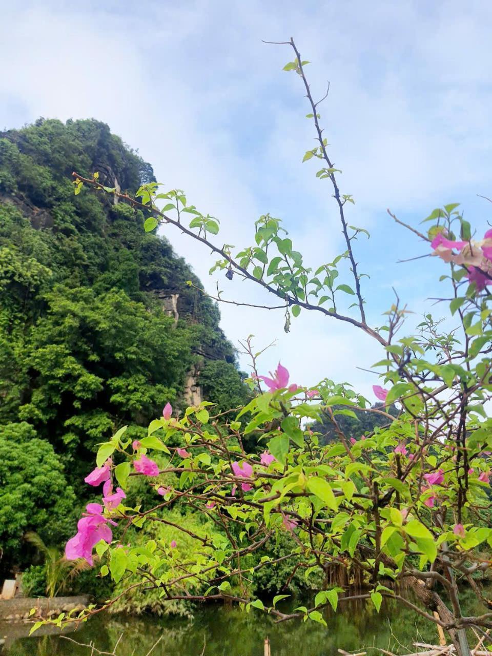 Trang An Hana Homestay Nguyen Ngoai Exteriör bild