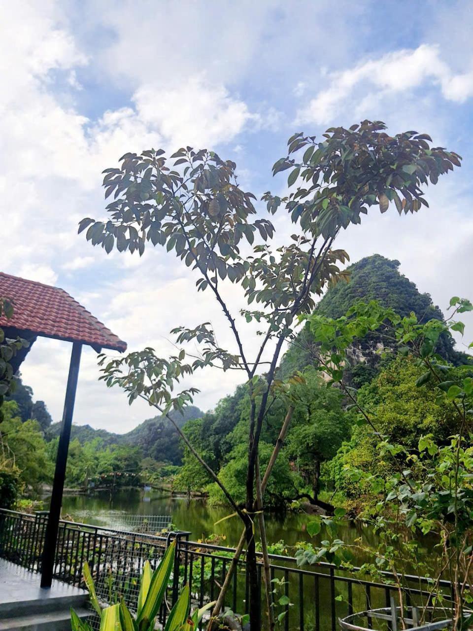 Trang An Hana Homestay Nguyen Ngoai Exteriör bild