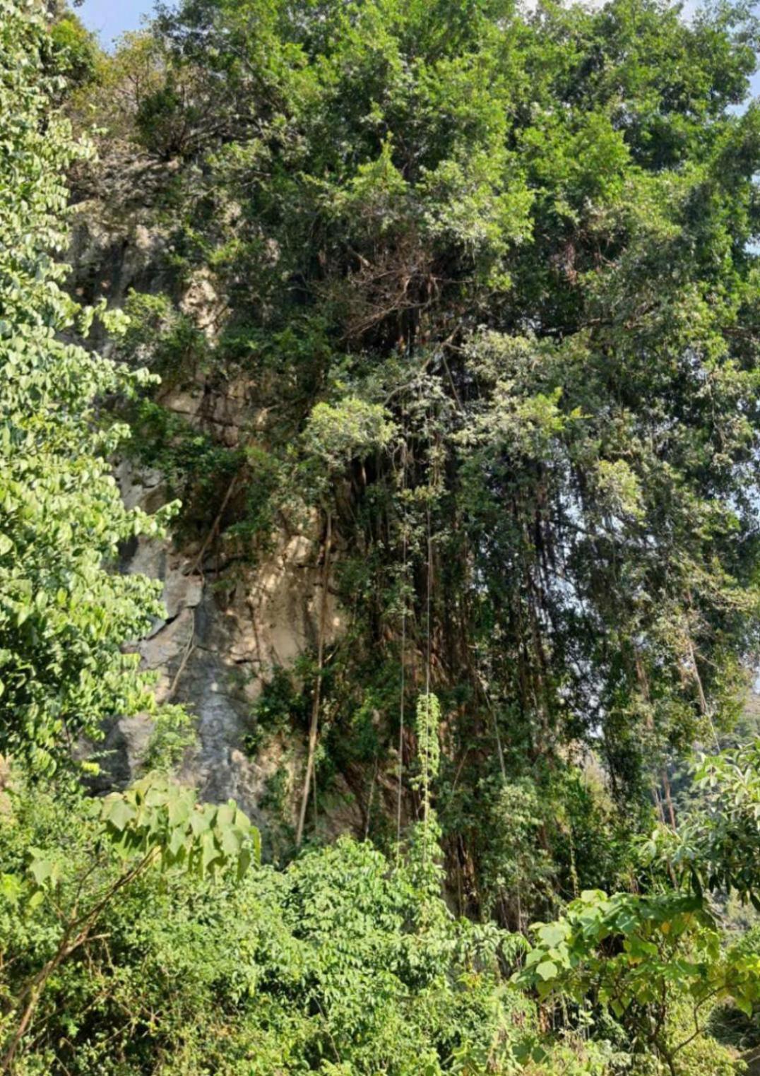 Trang An Hana Homestay Nguyen Ngoai Exteriör bild