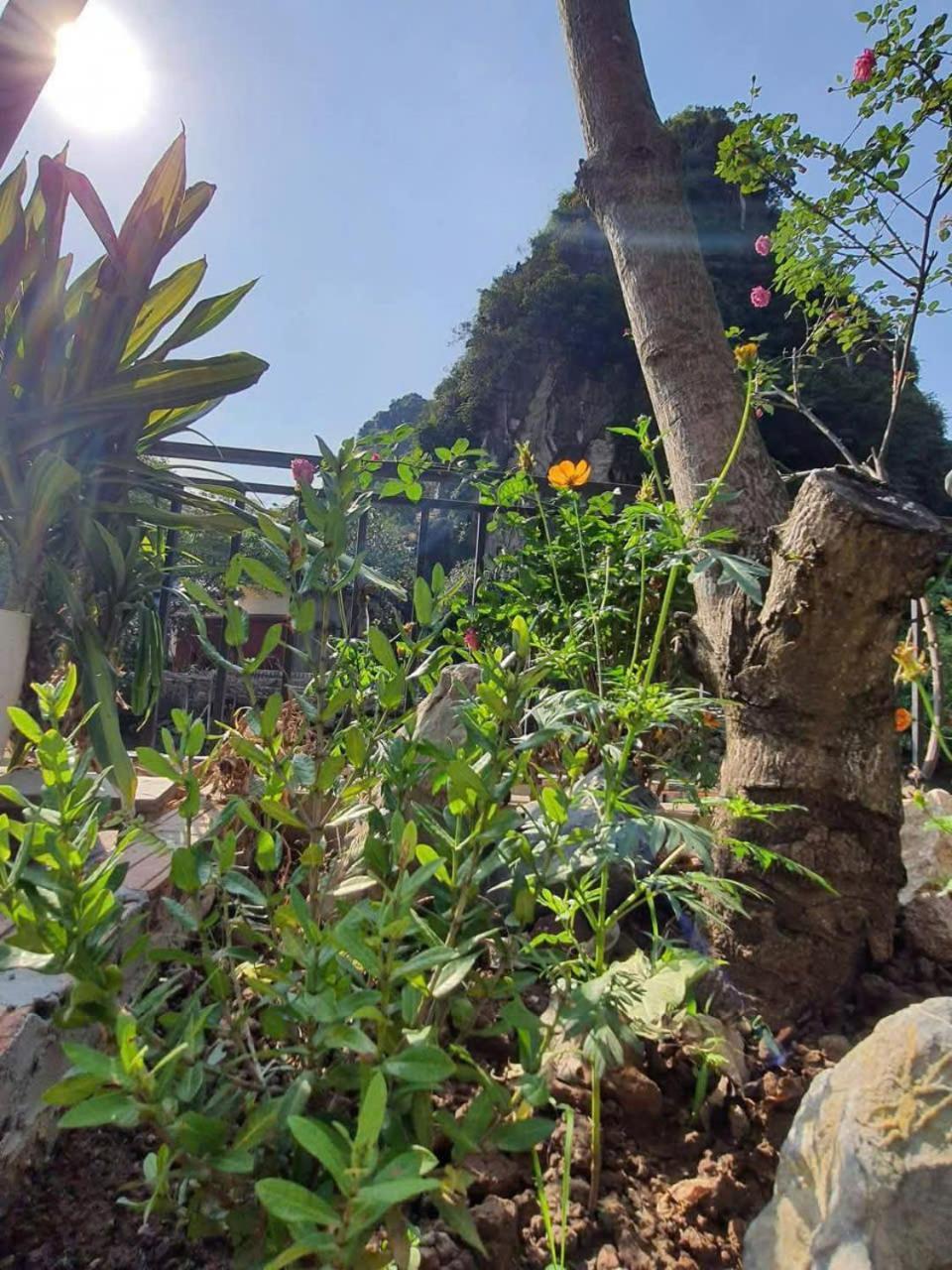 Trang An Hana Homestay Nguyen Ngoai Exteriör bild